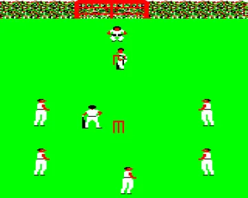 Cricket (1983)(Computer Rentals)[h TSTH] screen shot game playing